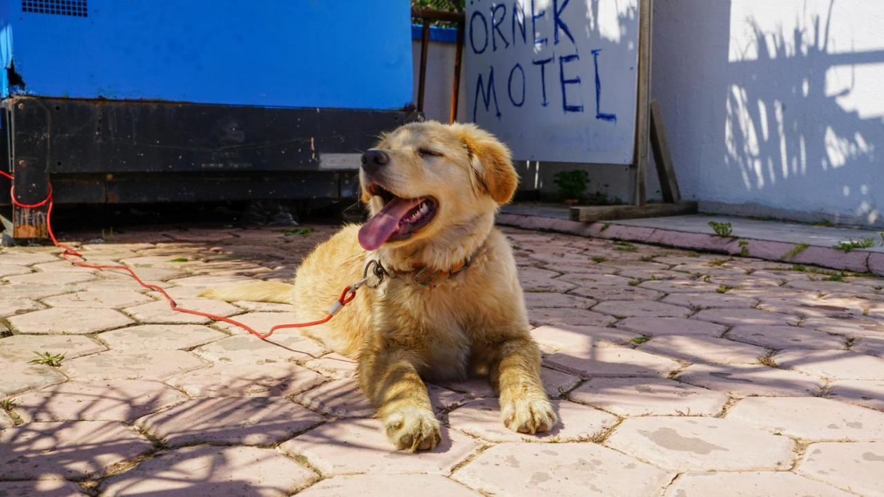 Örnek Motel İmroz Dış mekan fotoğraf